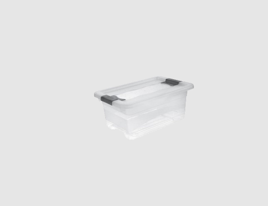 Kristallbox Cornelia mit Deckel
