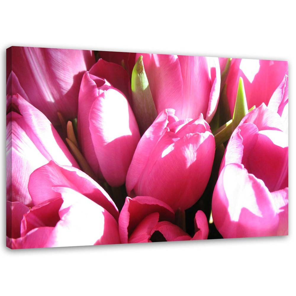 Feeby Obraz na płótnie Bukiet różowych tulipanów 60x40