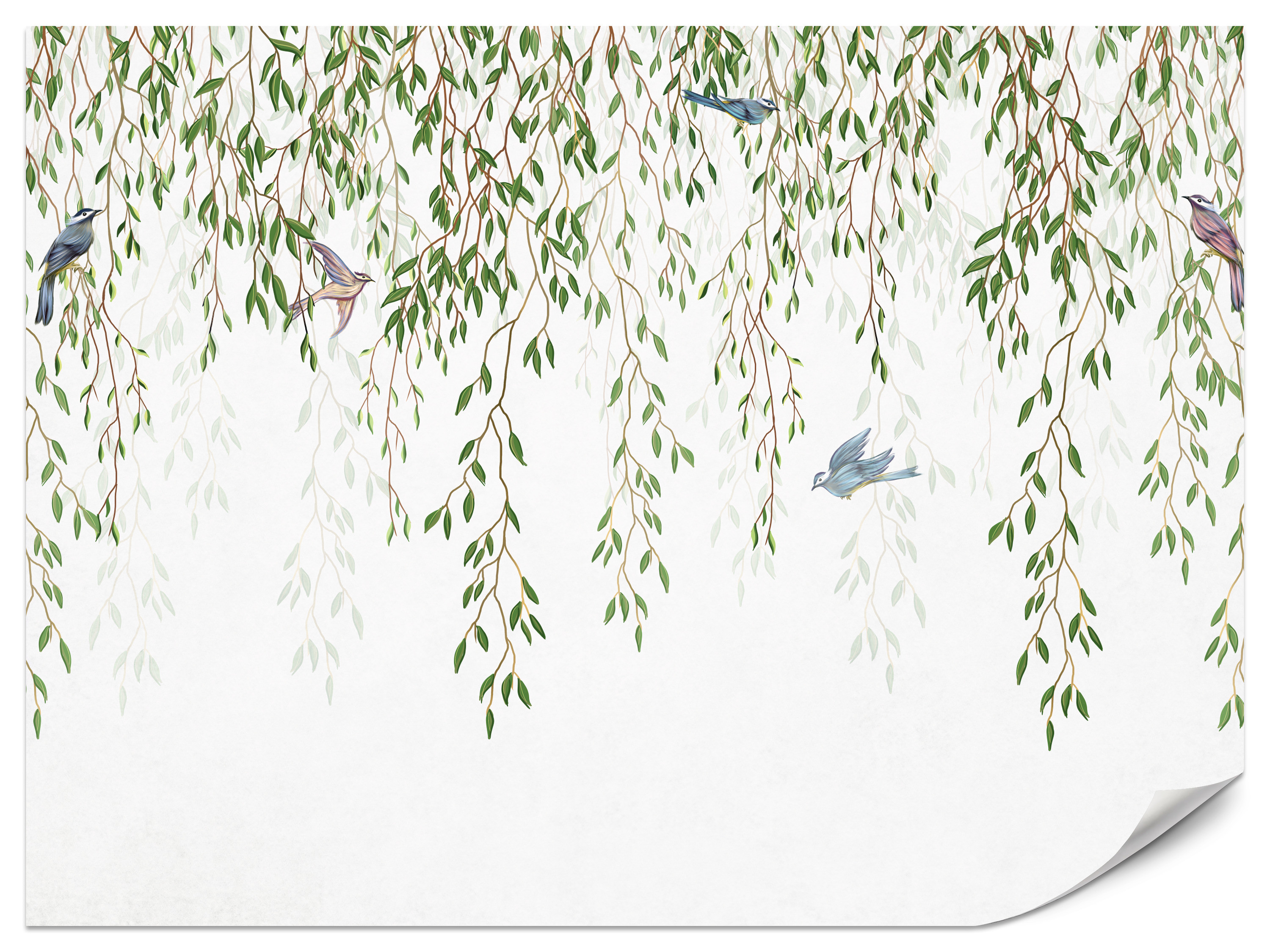 Fototapeta Gałązki wierzby płaczącej i ptaki 150x105cm