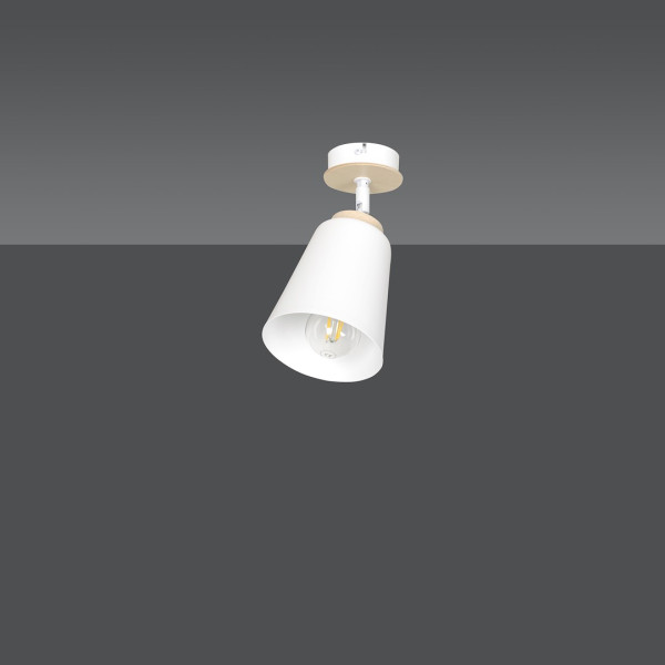 Reflektor Sufitowy Regulowany Atlas 1 White