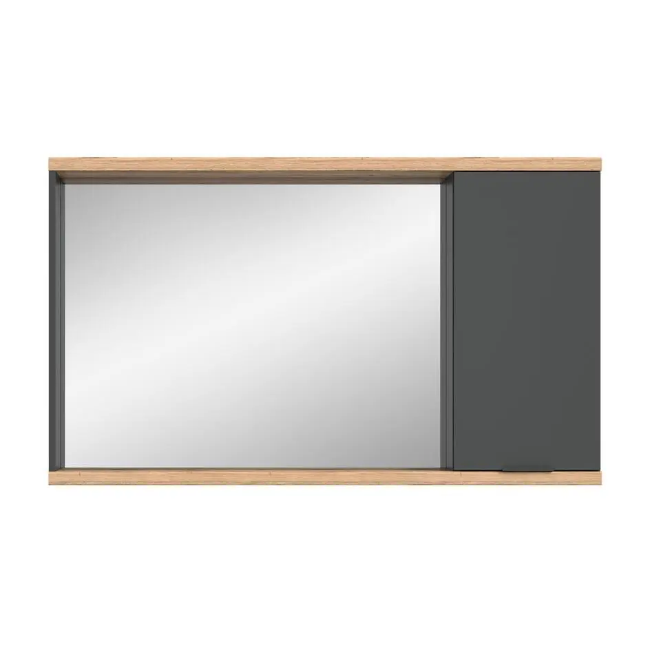 Hioshop Nuaro spiegelkast 1 deur grijs