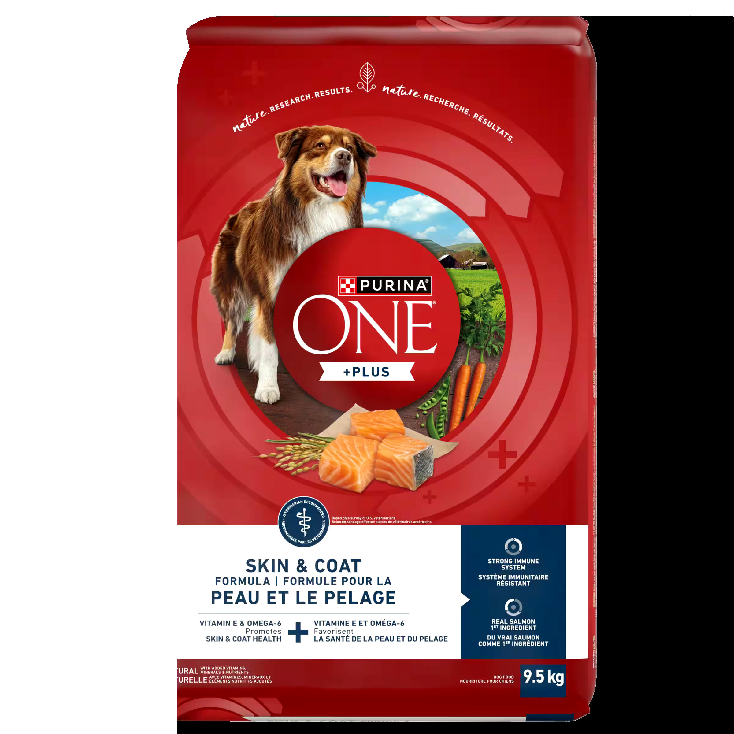 Purina ONE +Plus Adult Dry Dog Food, Skin & Coat Formula, 9.5-kg
