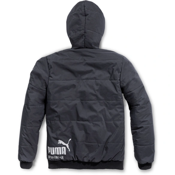 Winterparka »Champ«, carbon, Polyester