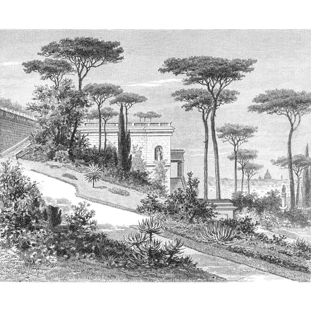 - Papier peint panoramique gravure Rome 390x270cm