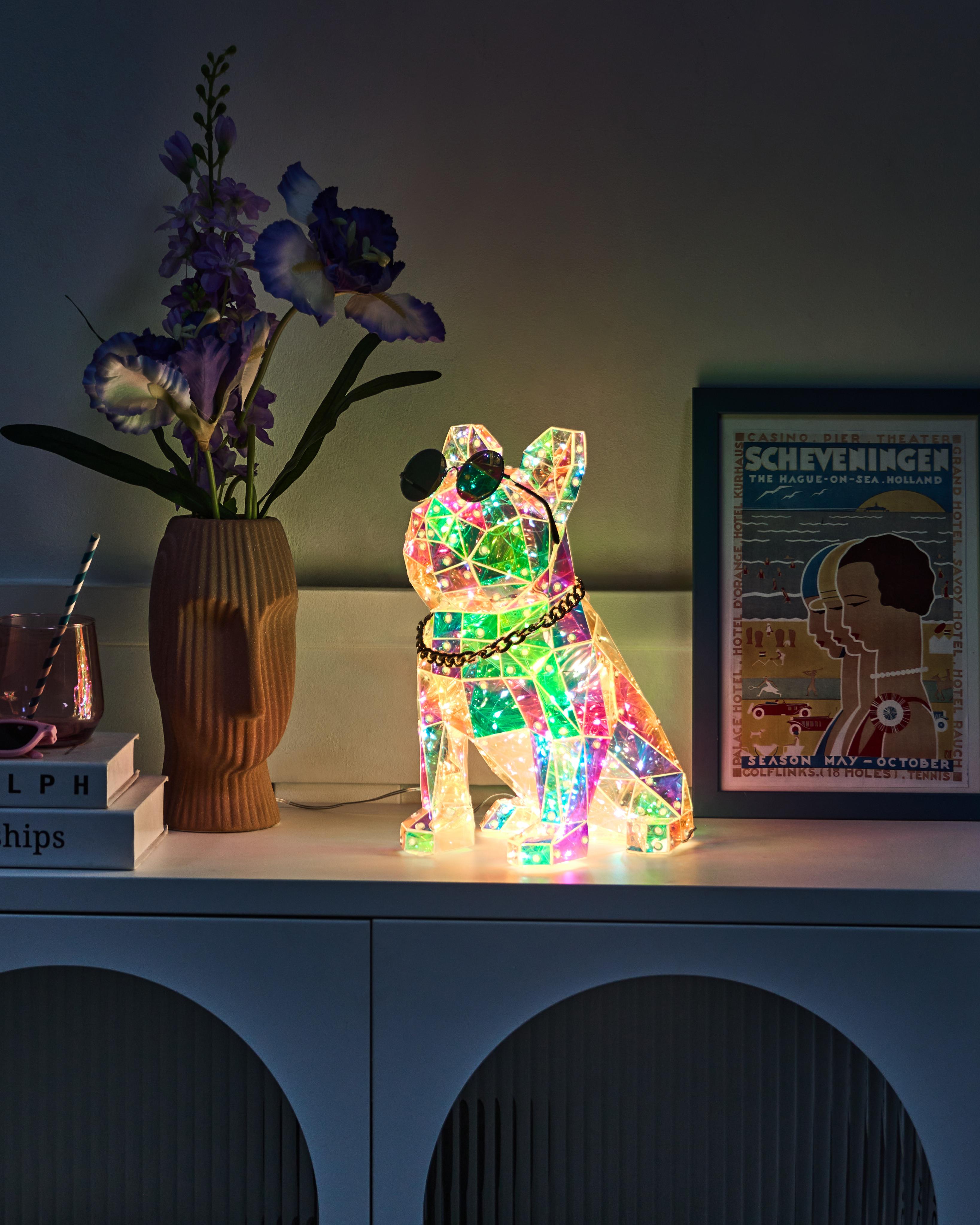 LED Decoration Dog JONKU Multicolour