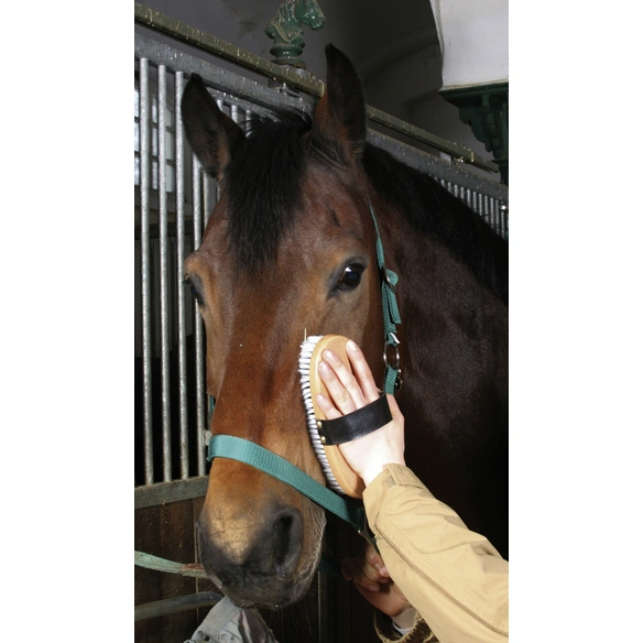 Fellpflege, für Pferd, natur