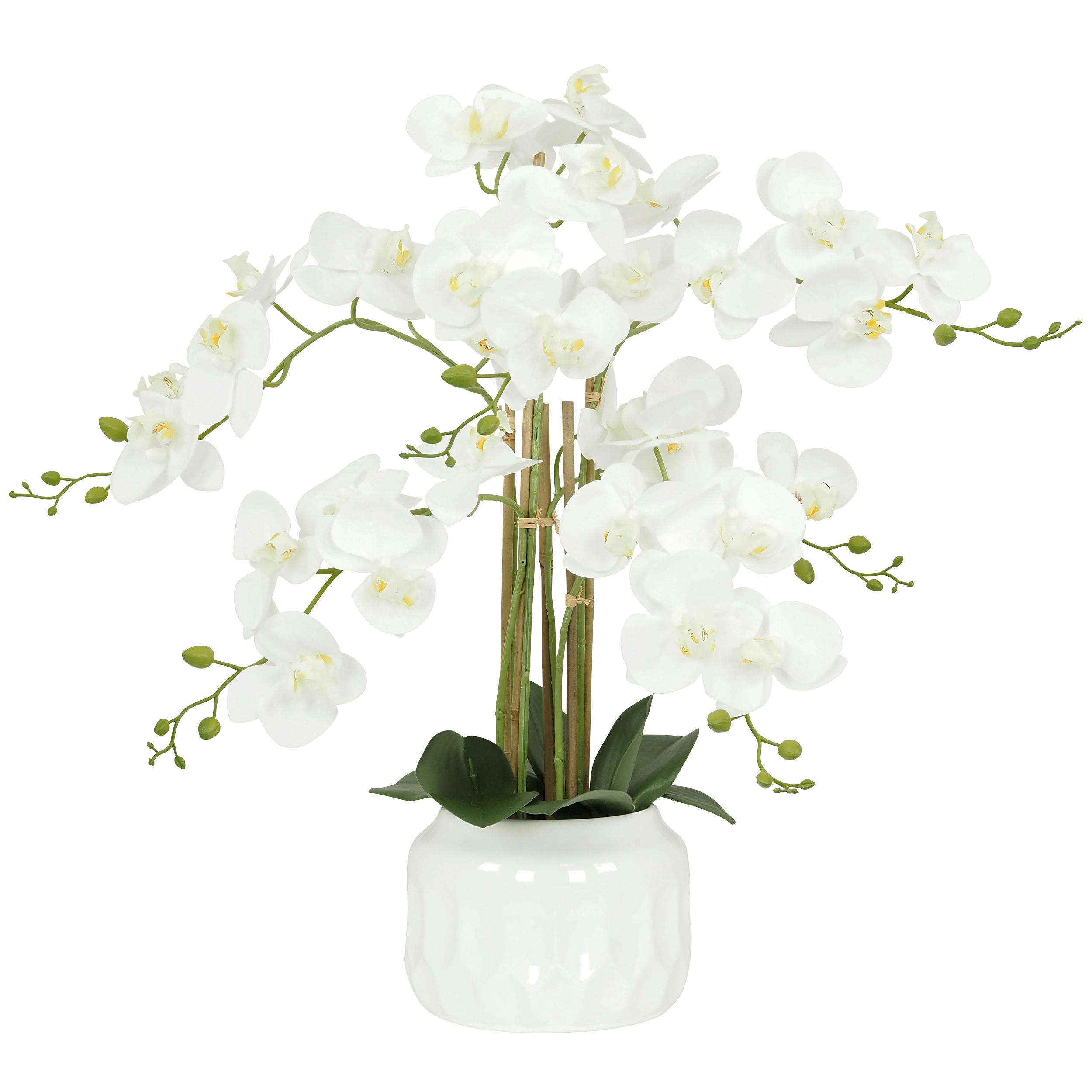 - Orchidée artificielle toucher naturel 55cm