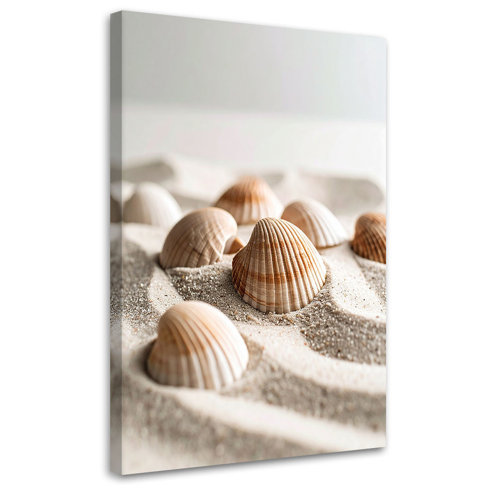Obraz do salonu kuchni biura, Muszle plaża natura boho 20x30