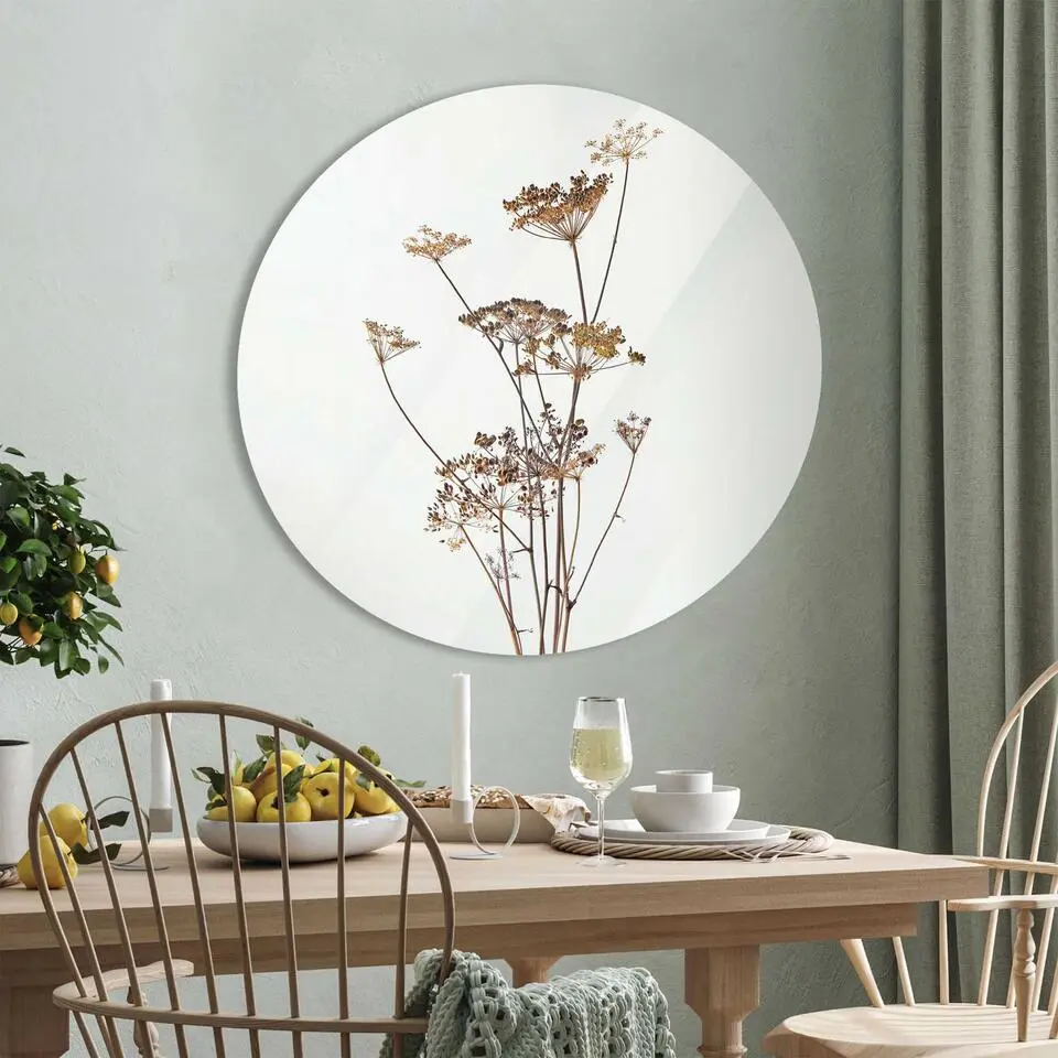 Glasschilderij Berenklauw - &Oslash; 70 - Wit