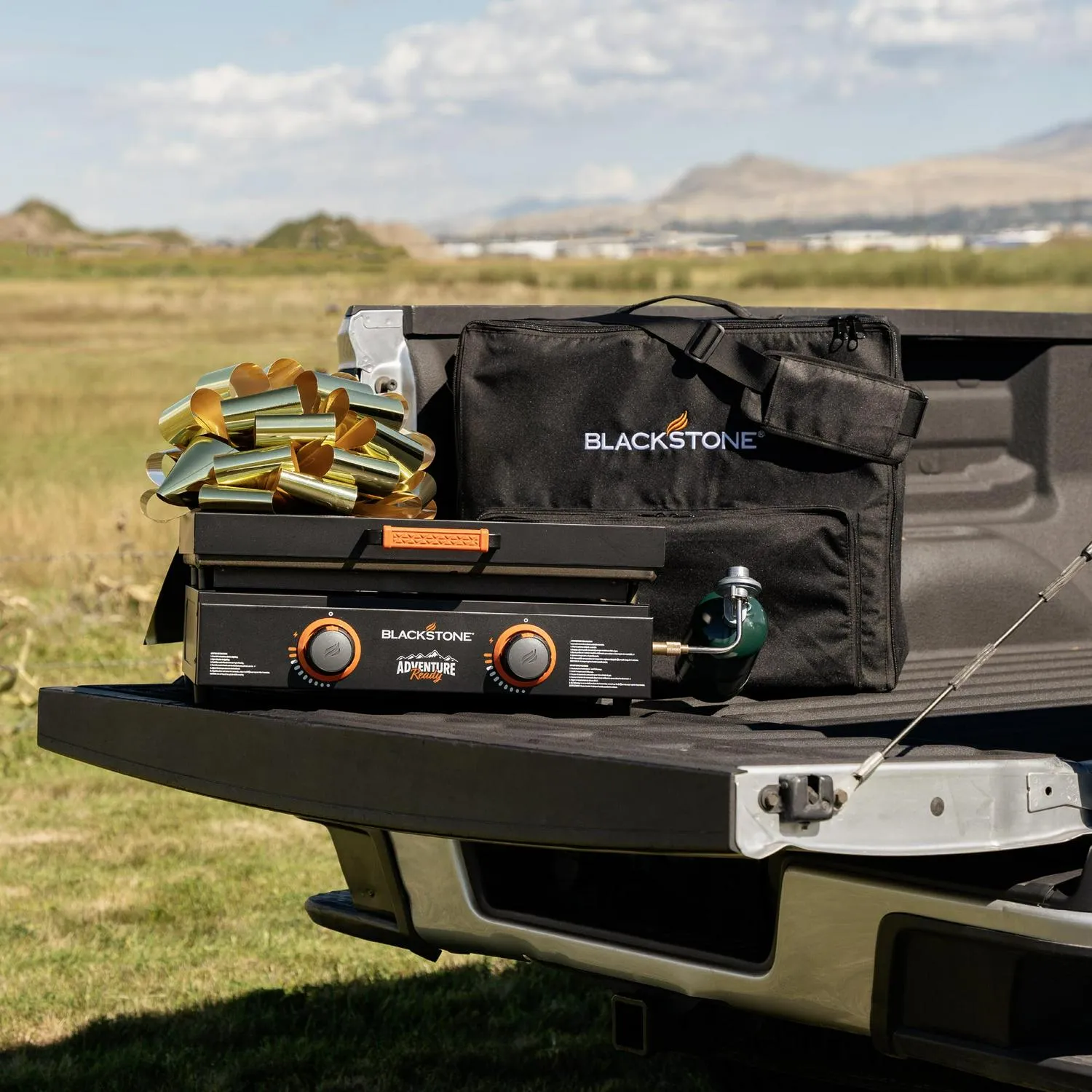 Blackstone Adventure Ready 22 Propane Griddle Gift Bundle, Black Includes Griddle, Hardcover, Carry Bag, 24,000 BTU Burners, Rear Grease System