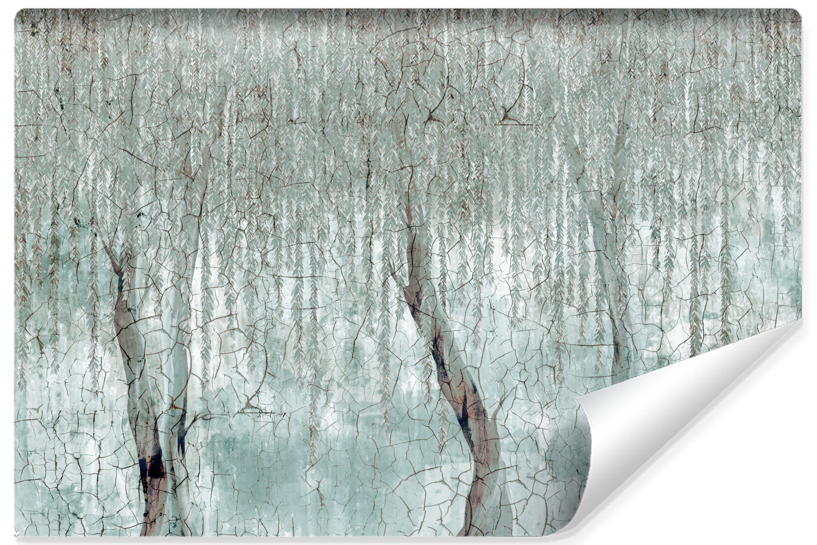 Fototapeta Abstrakcyjna Wierzba Na Betonie 90x60cm