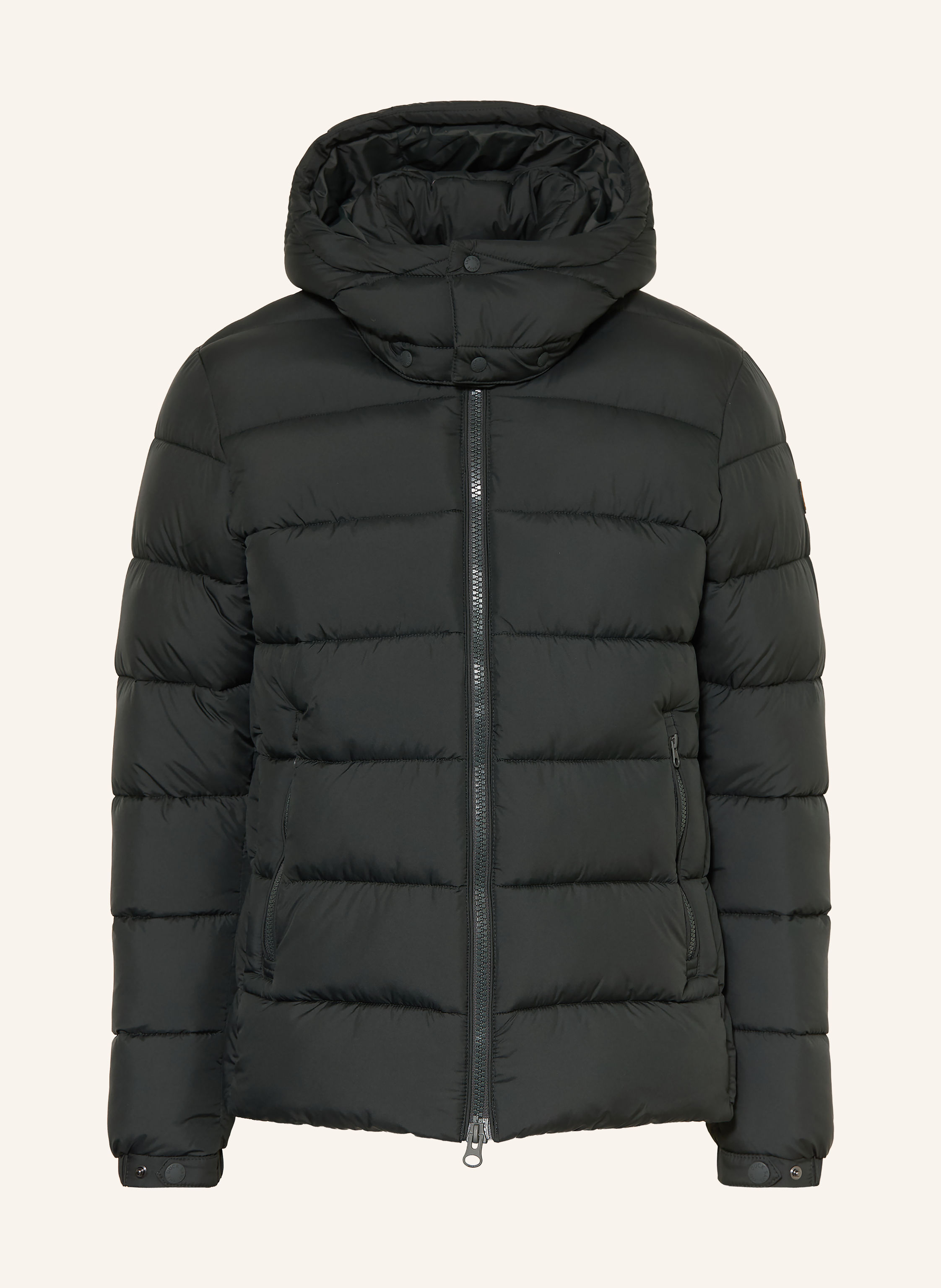 SAVE THE DUCK Steppjacke BORIS mit abnehmbarer Kapuze