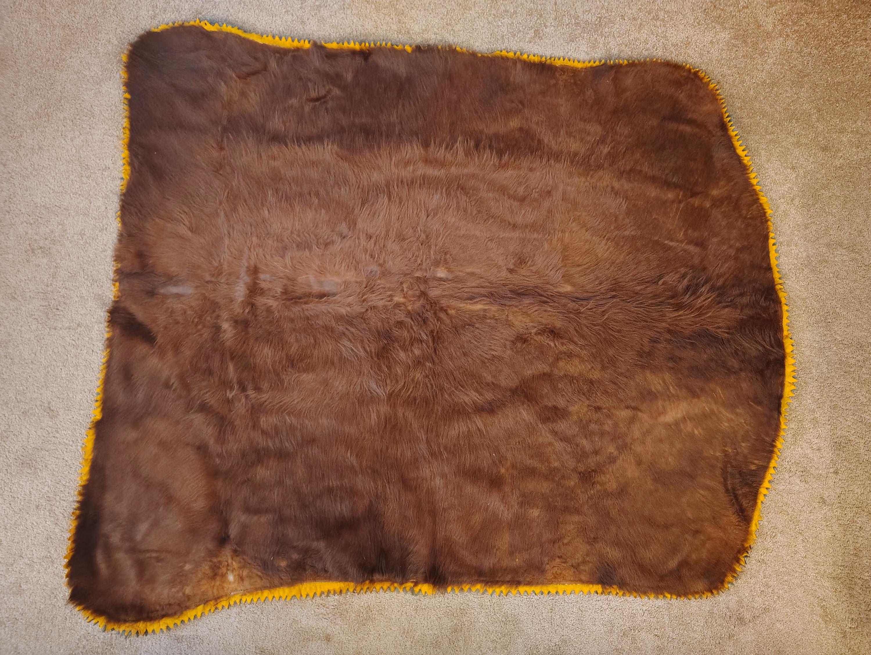 Horsehide Carriage Blanket With Gloves