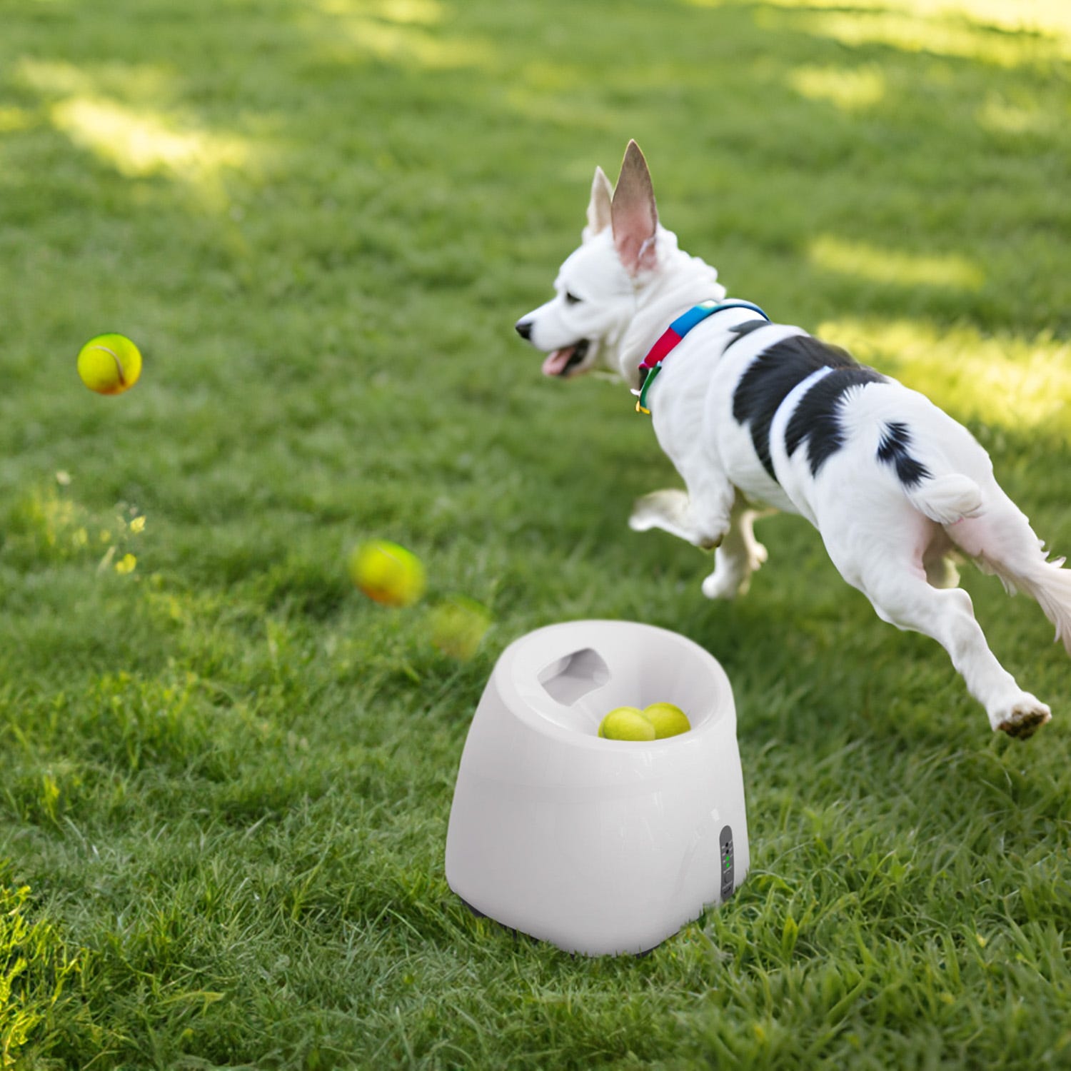 Lanciatore di palline elettrico per animali Easy Pet