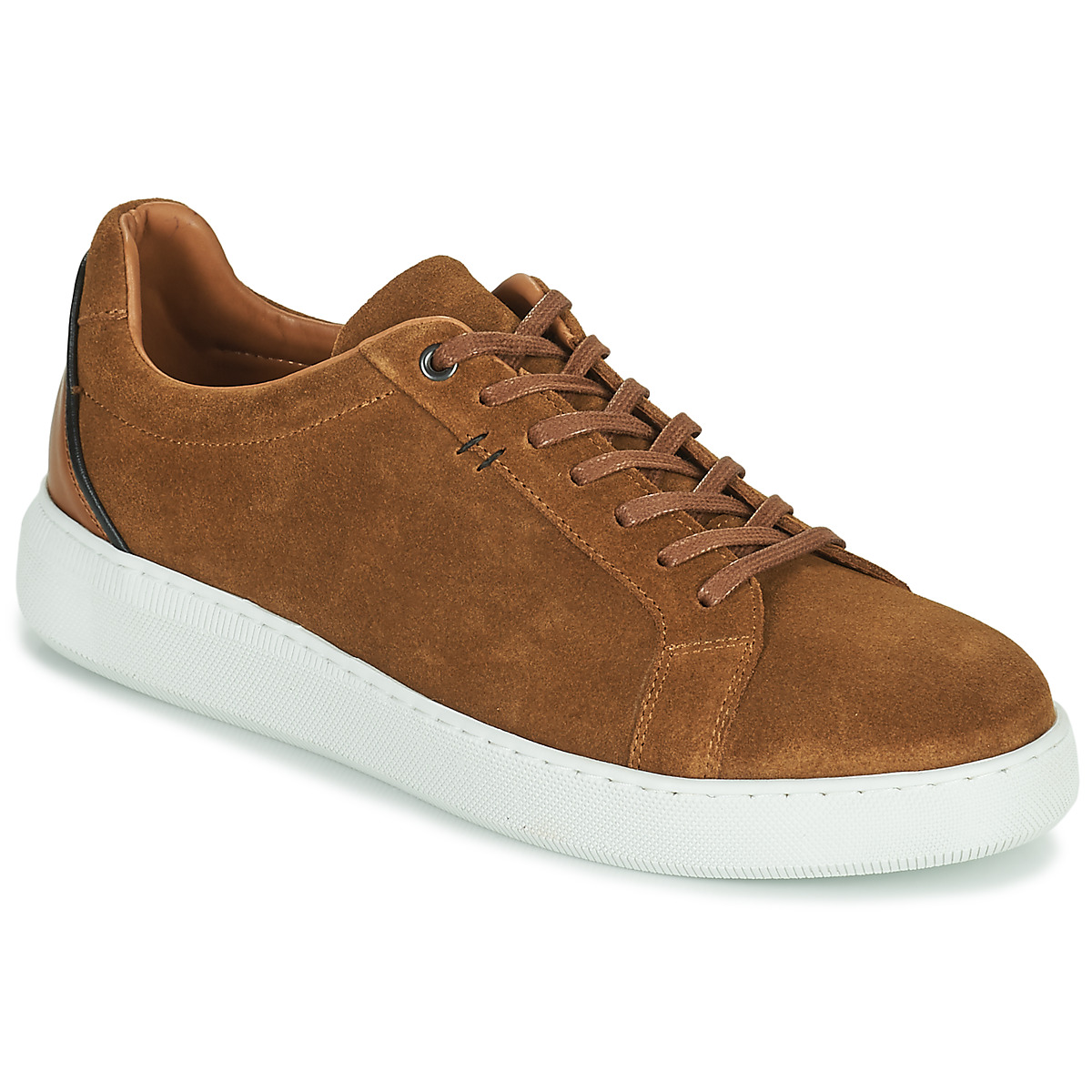 Pellet - OSCAR - Velvet / Tan