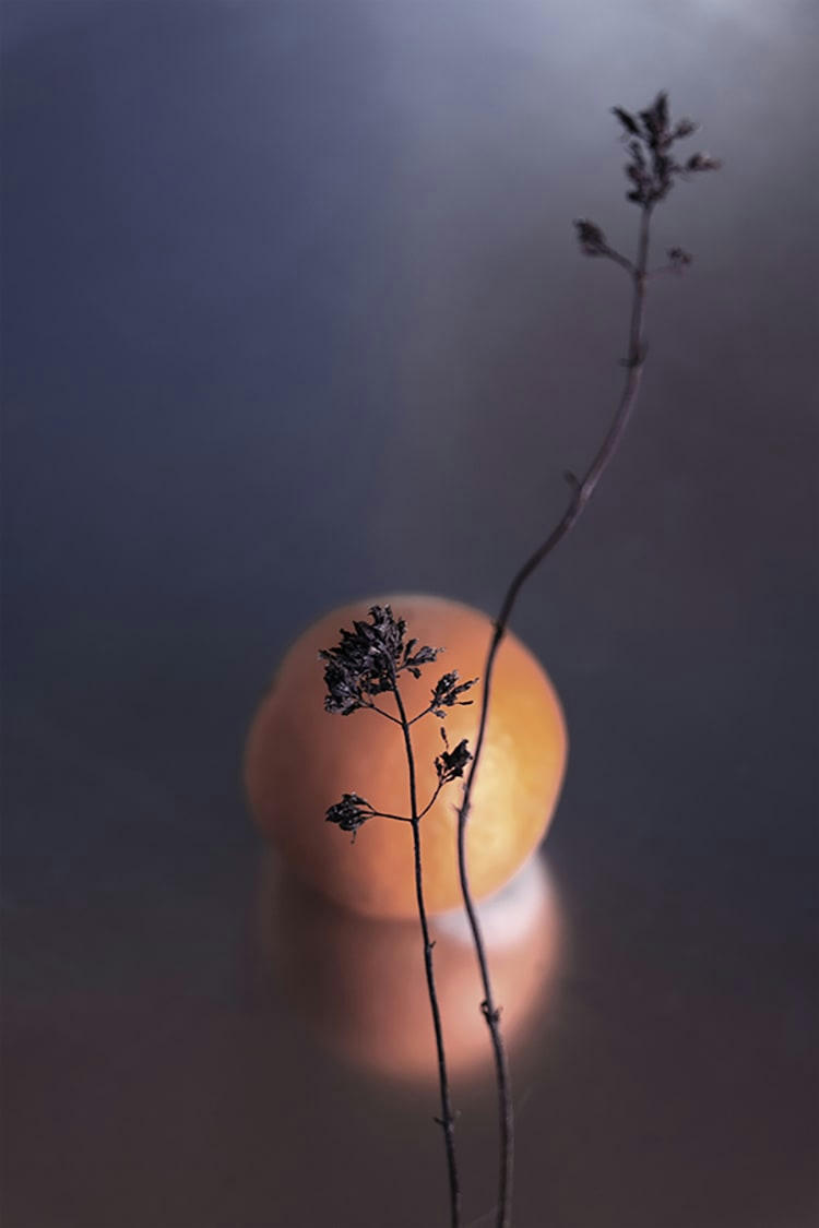 SOLEIL - Photographie d'art de Zoé Pignolet 60x90 cm sur plexi