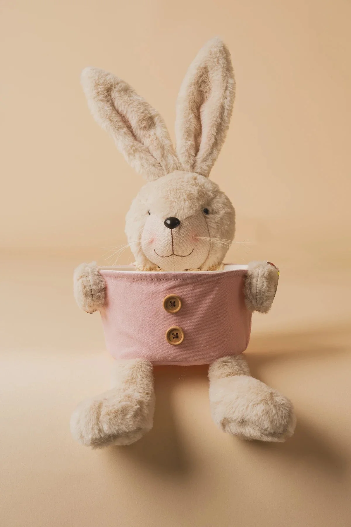 Sitting Bunny Holding Bucket
