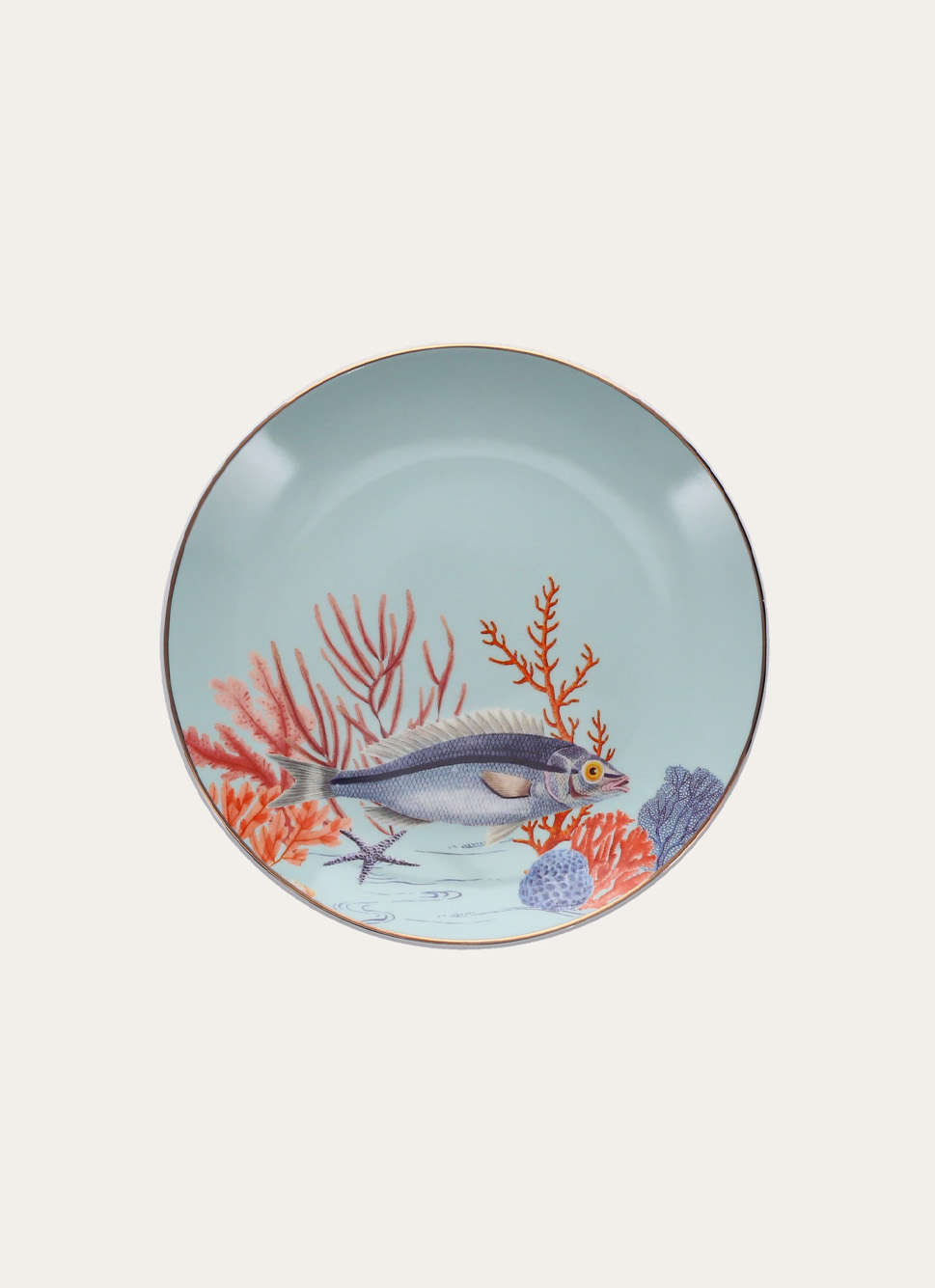 COFFRET 4 ASSIETTES BLEU MULTICOLORE