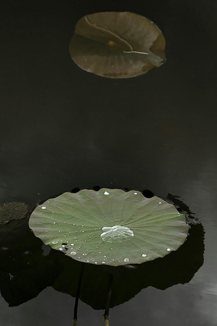 ÎLE ET ELLE - Photographie d'art de Zoé Pignolet 40x60 cm sur alu