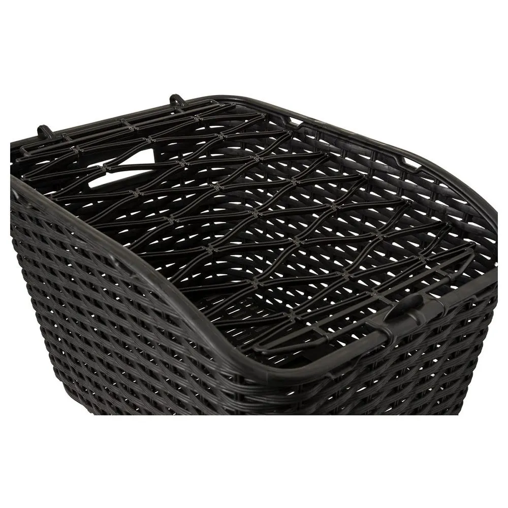 AGU Dante basket