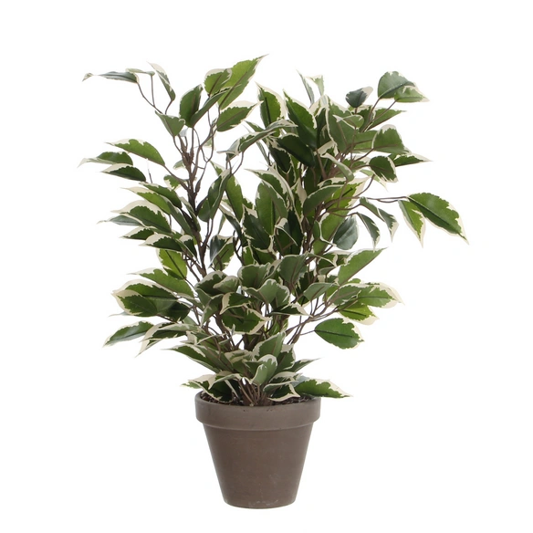 Kunstpflanze, Ficus Natasja, grün/beige