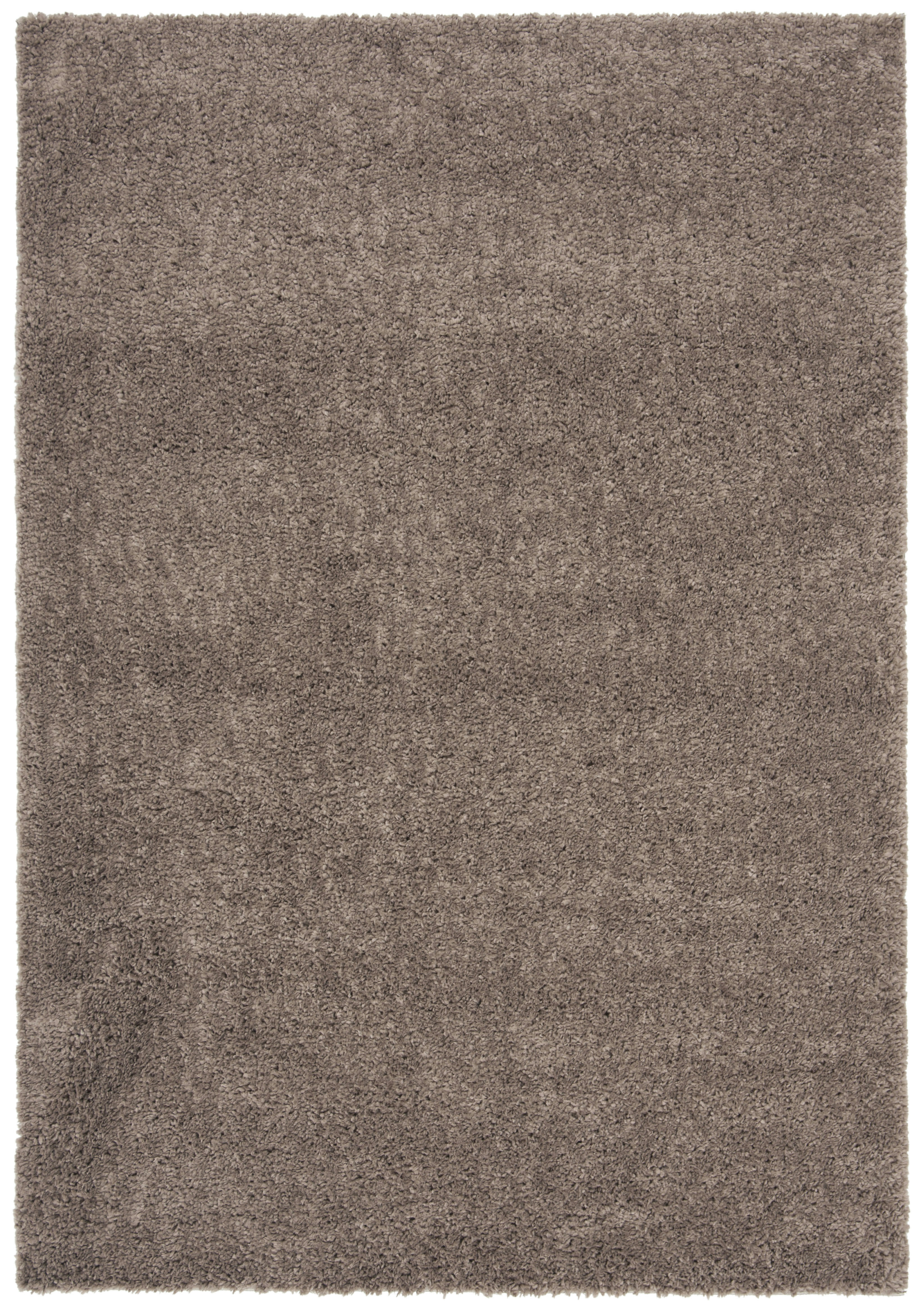 AUGUST SHAG - Tapis de salon interieur hirsute en taupe, 183 x 274 cm