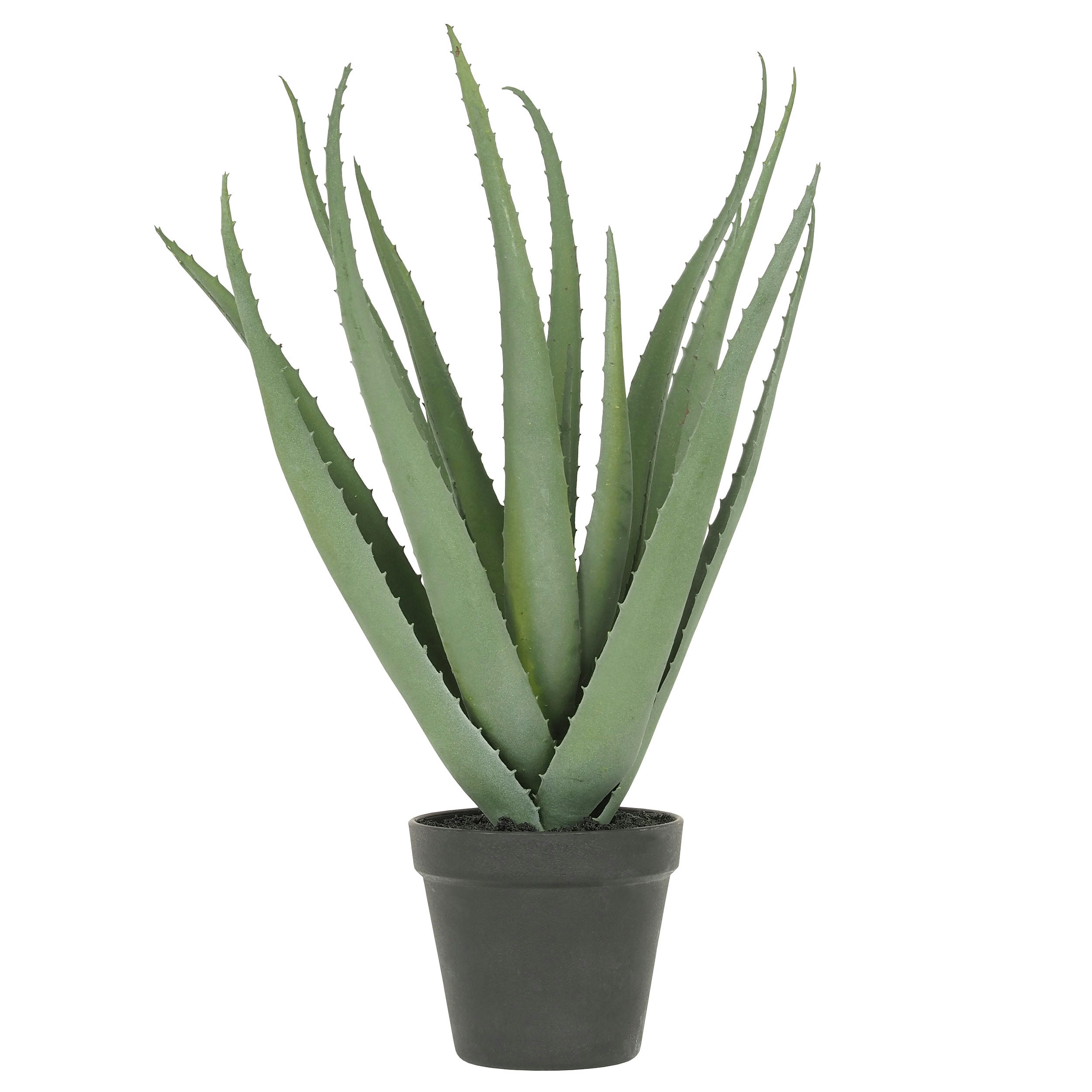 - Aloe vera artificiel 45cm