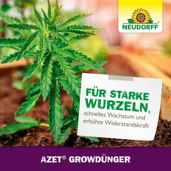 Blumendünger »Azet«, Growdünger, 250 ml