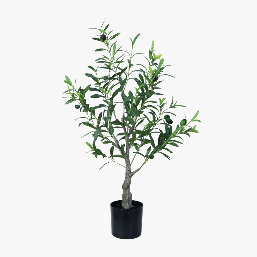 Planta Artificial Oliveira 80cm ANORI