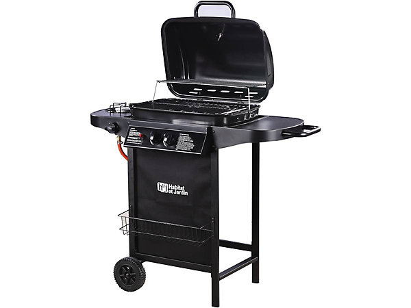 Barbecue gaz 