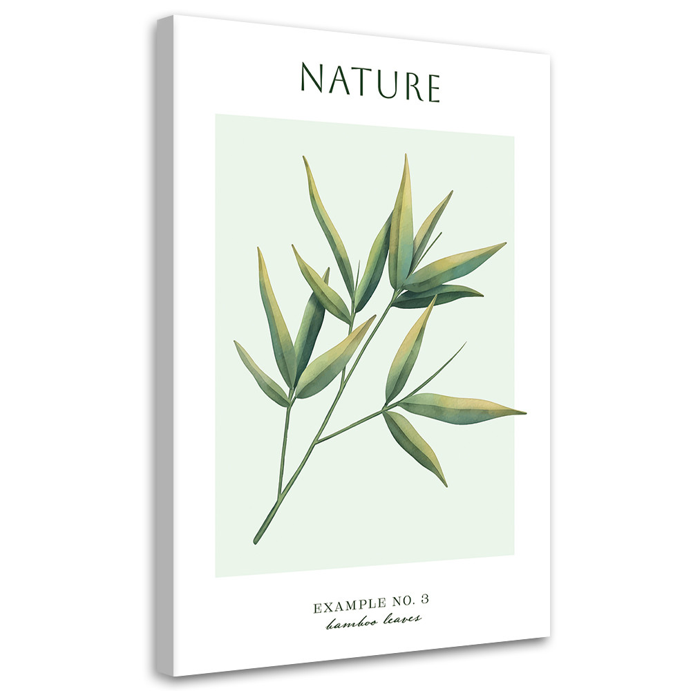 Feeby Obraz na płótnie, Liście bambusa - Natura 40x60