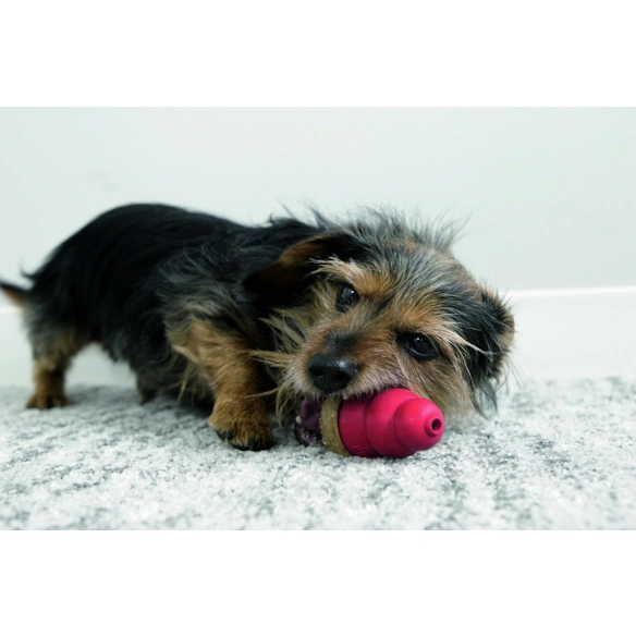 Hundesnack »Kong Marathon«, 114, Huhn