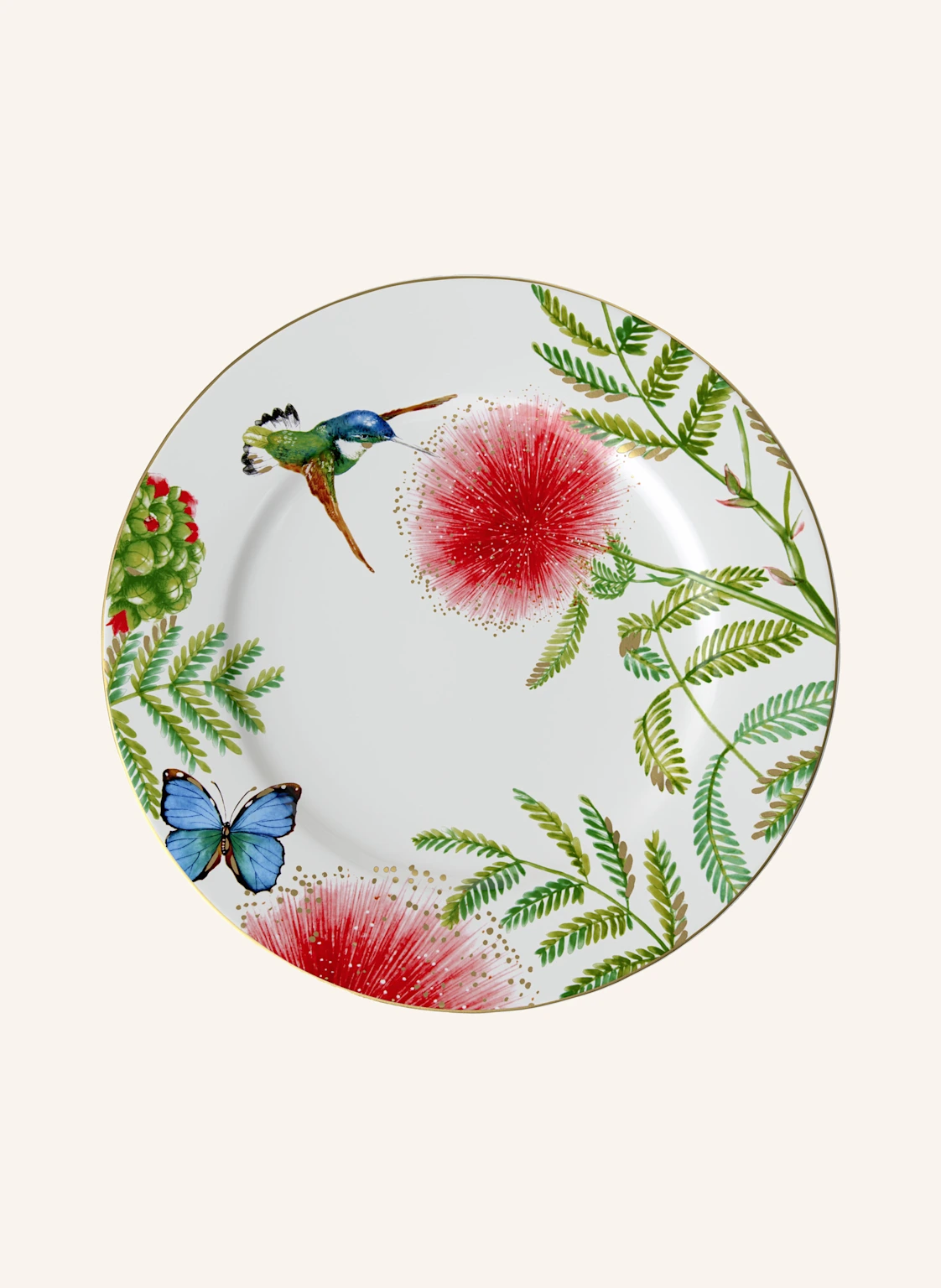 Villeroy & Boch Gourmetteller AMAZONIA