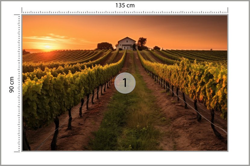 Fototapeta Do Salonu Winnica O Zachodzie Słońca 135x90cm