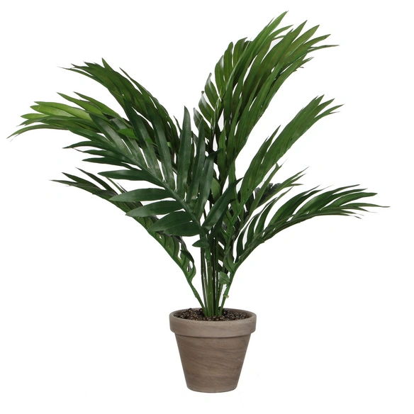 Kunstpalme, Areca, grün