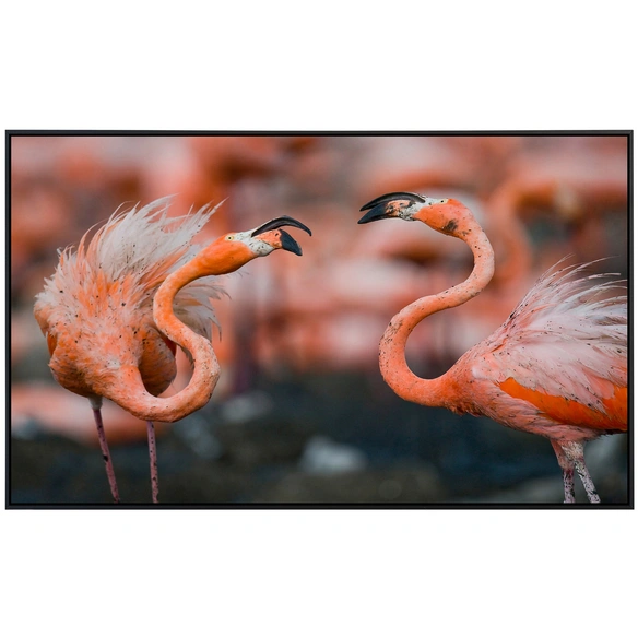 Infrarotheizung »EcoHeat - Karibische Flamingos«, Matt-Effekt