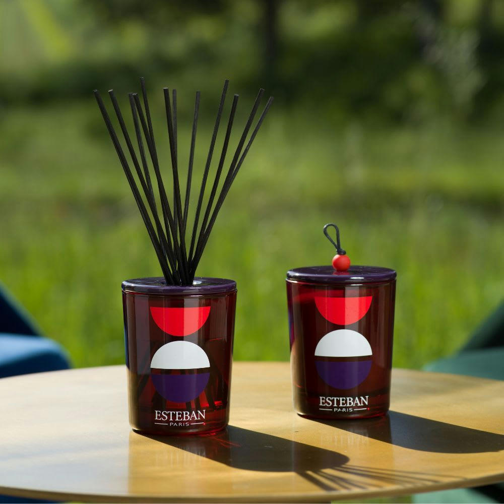 ROUGE CASSIS - Bouquet parfumé déco 100ml