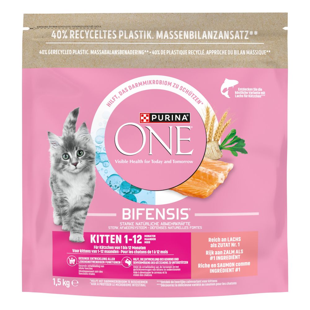 PURINA ONE Junior Salmon