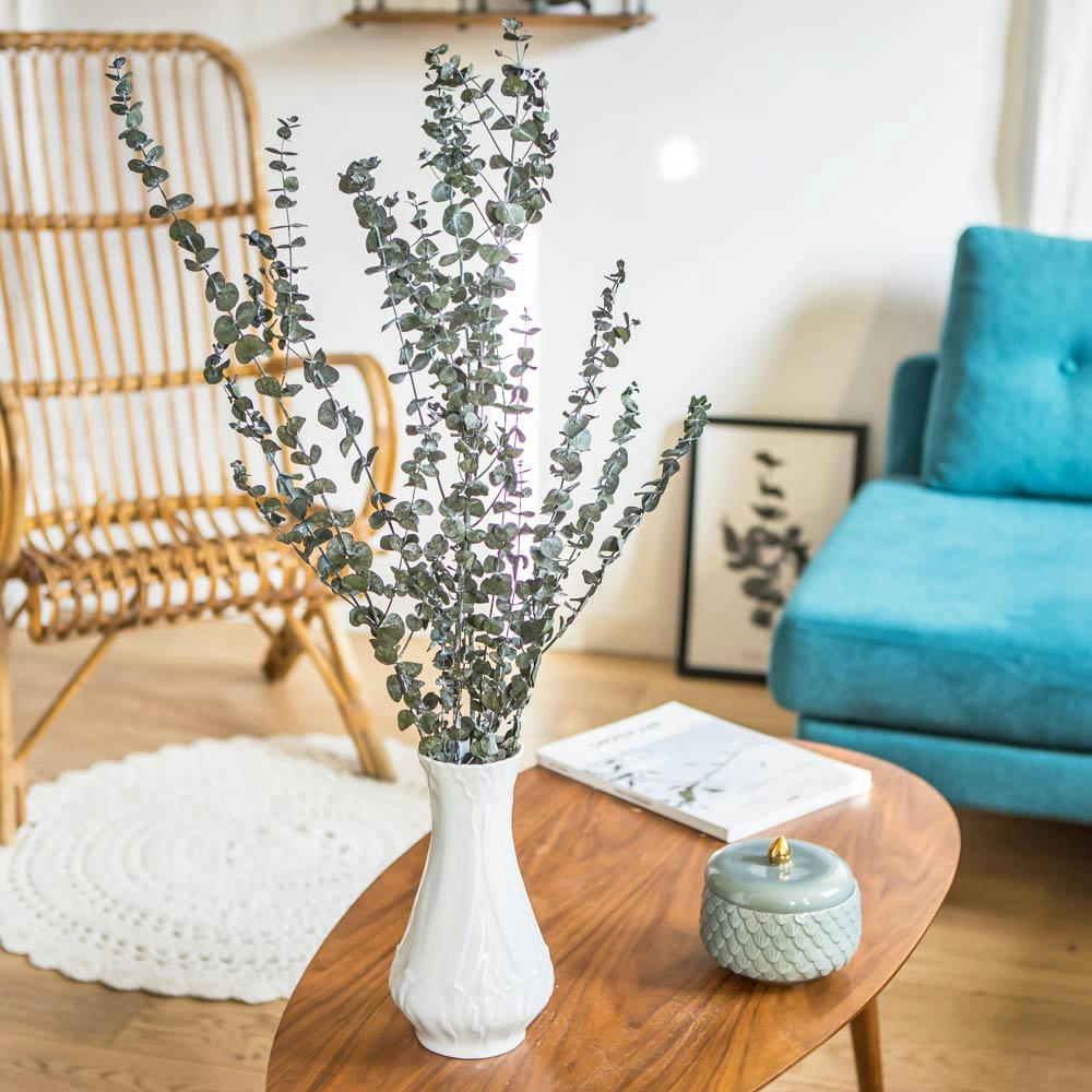 EUCALYPTUS - Botte de fleurs séchées eucalyptus baby stabilisé