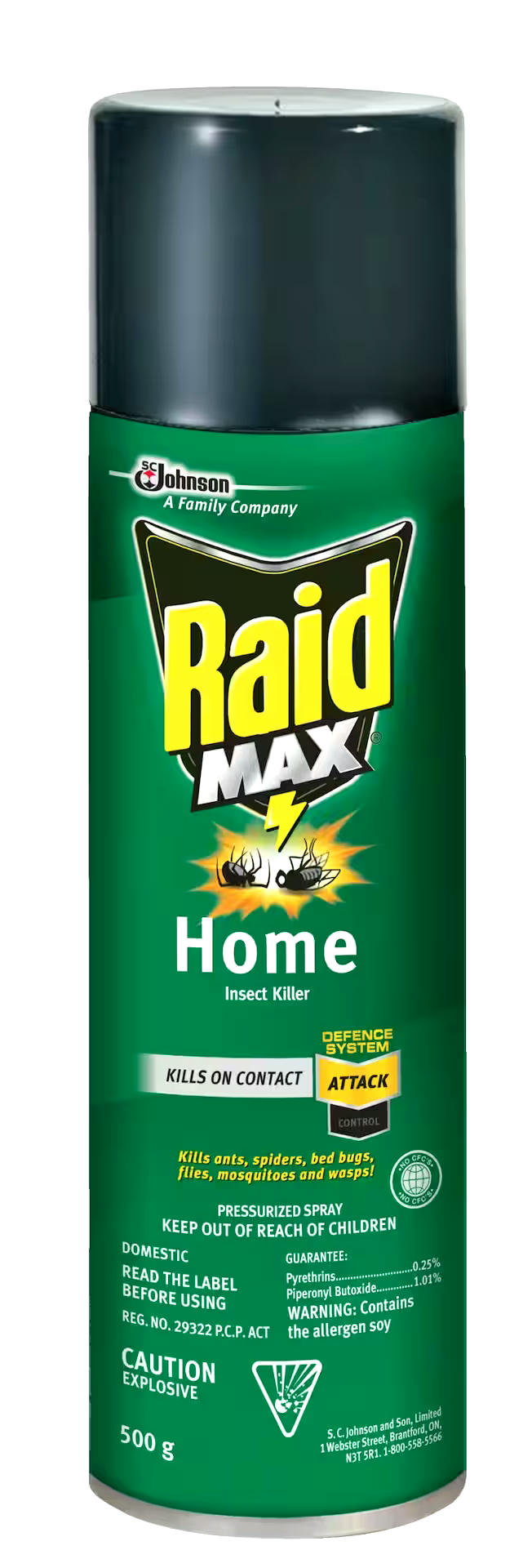 Raid MAX Indoor/Outdoor Home Insect Killer Spray, 500-g