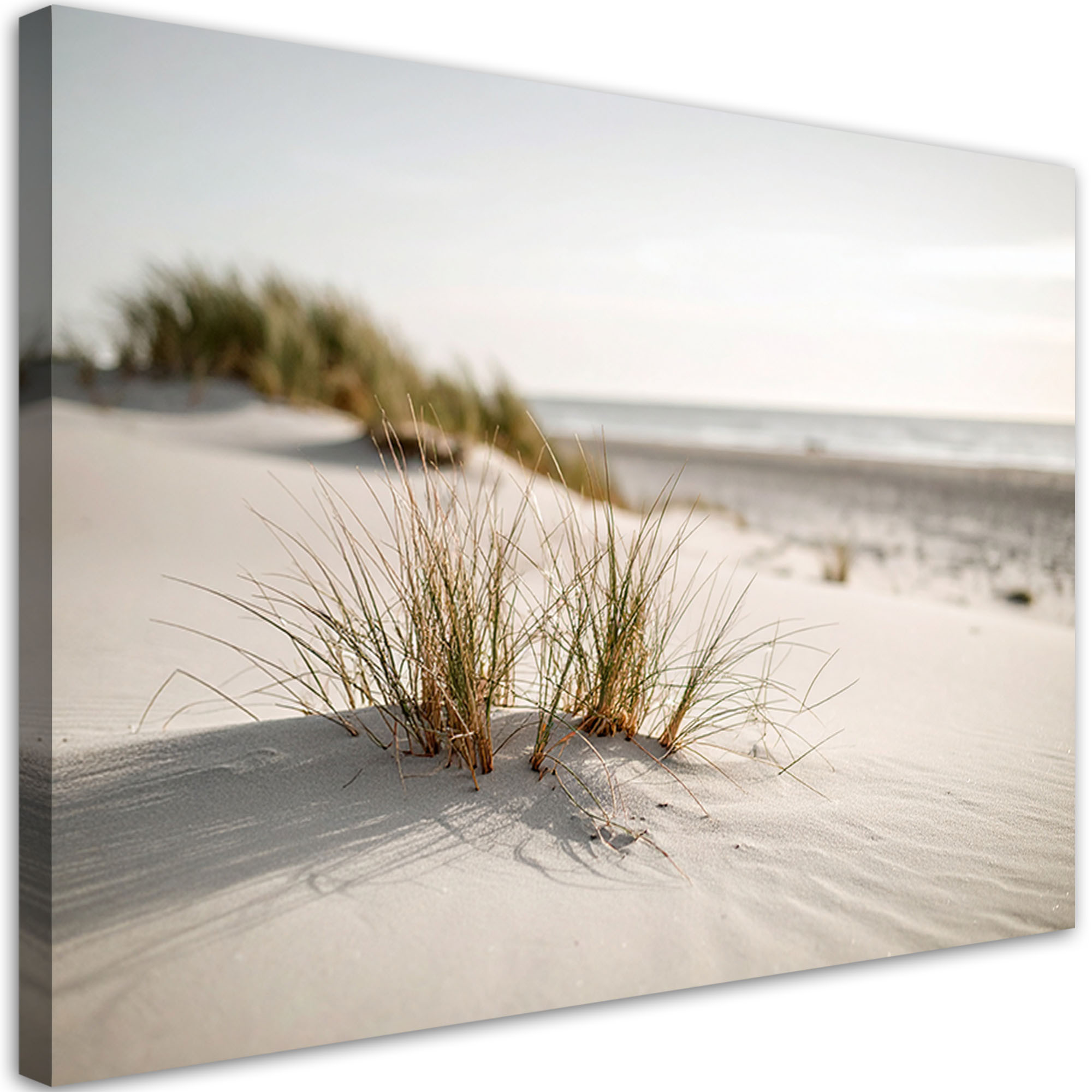 Obraz do salonu nowoczesny, Plaża morze wydmy natura rośliny 30x20