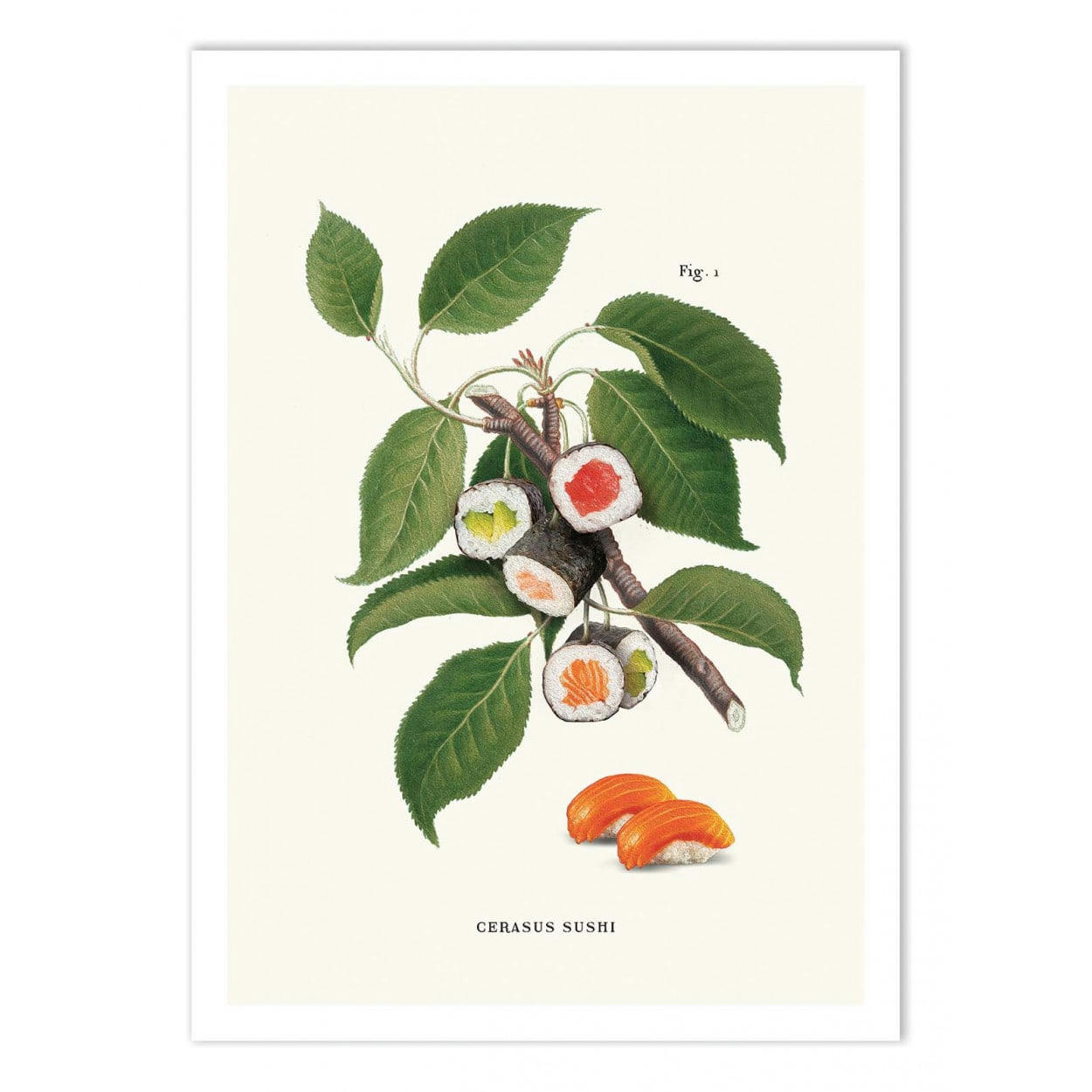 JONAS LOOSE - SUSHI PLANT - Affiche d'art avec Cadre bois noir - 30 x 40 cm
