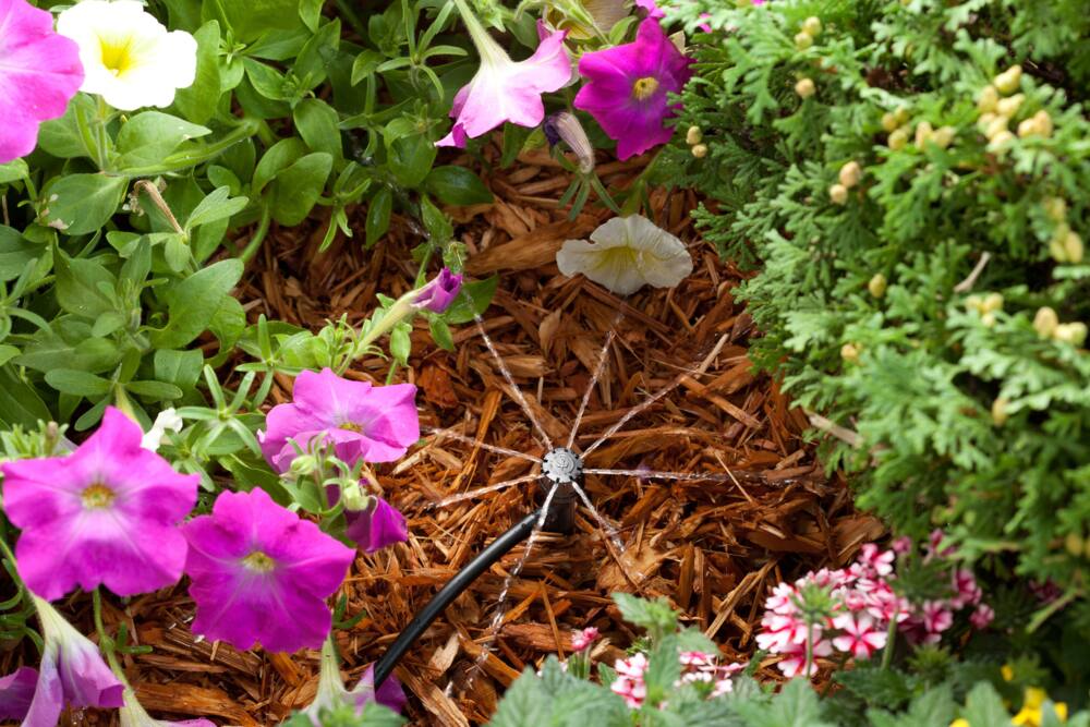 Rain Bird MBF4PKS Full Circle Pattern Drip Irrigation Micro-Bubbler Spike, 4-pk