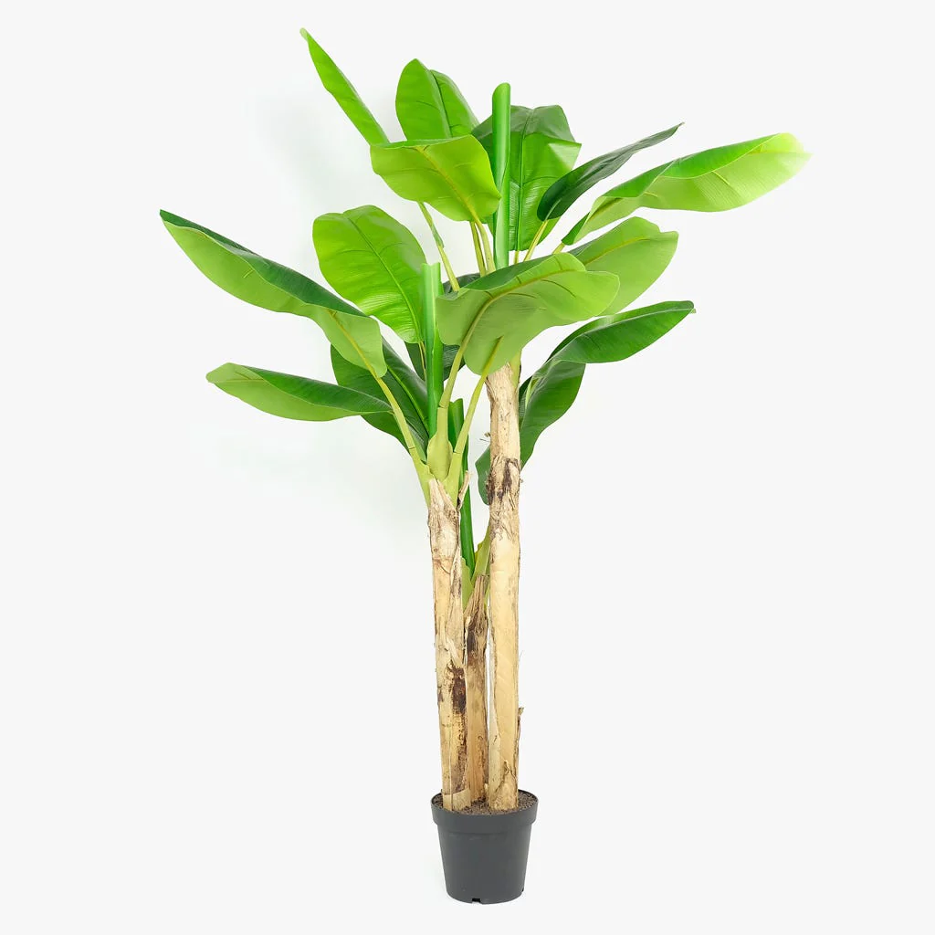 Planta Artificial Bananeira 200cm MUSA