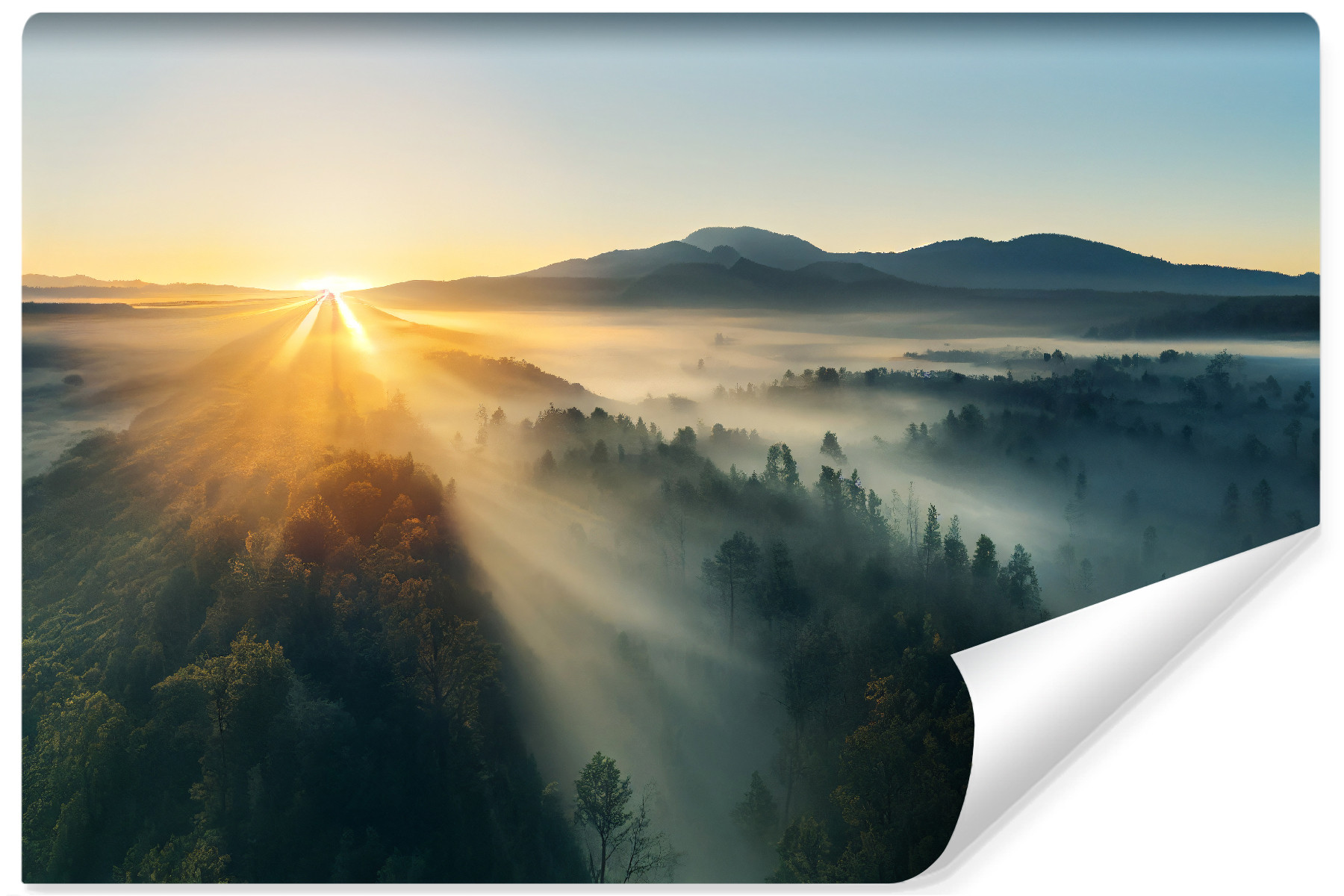 Fototapeta Ścienna Górski LAS Mgła Wschód 90x60cm