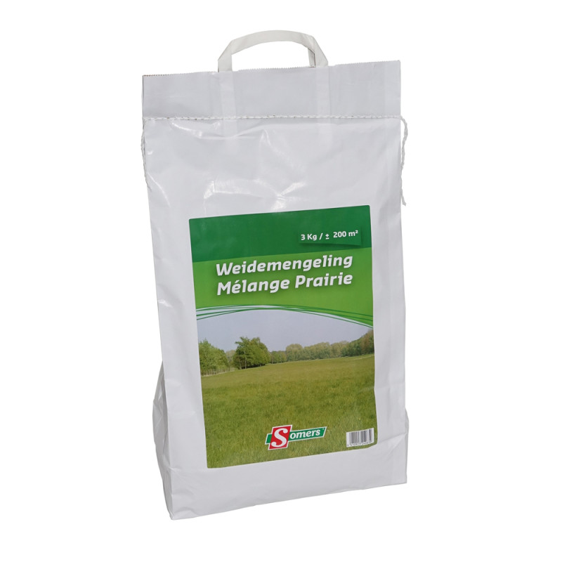 Mélange de semences de gazon pour pairie 3 kg SOMERS