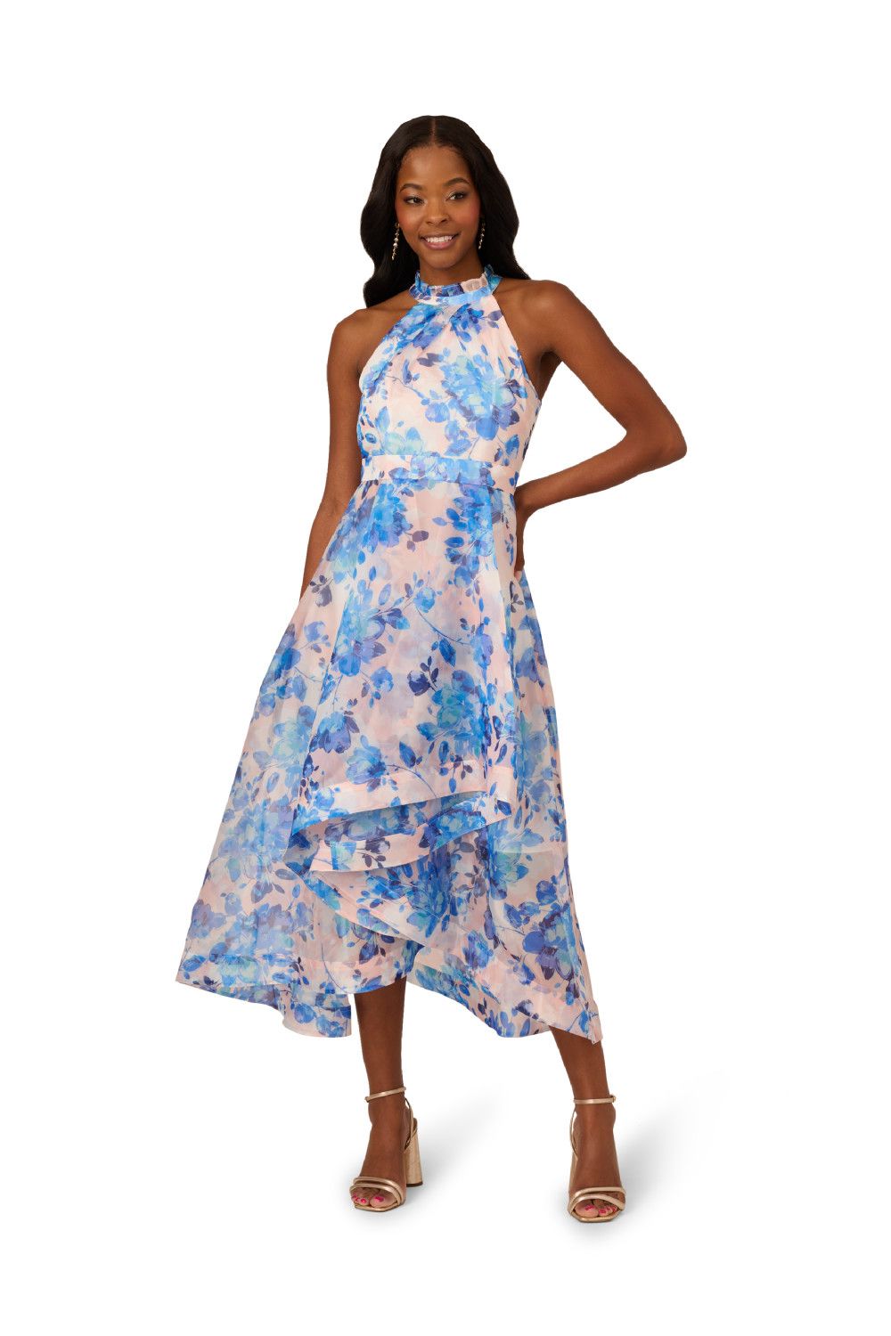 Adrianna Papell Floral Organza Ankle Dress