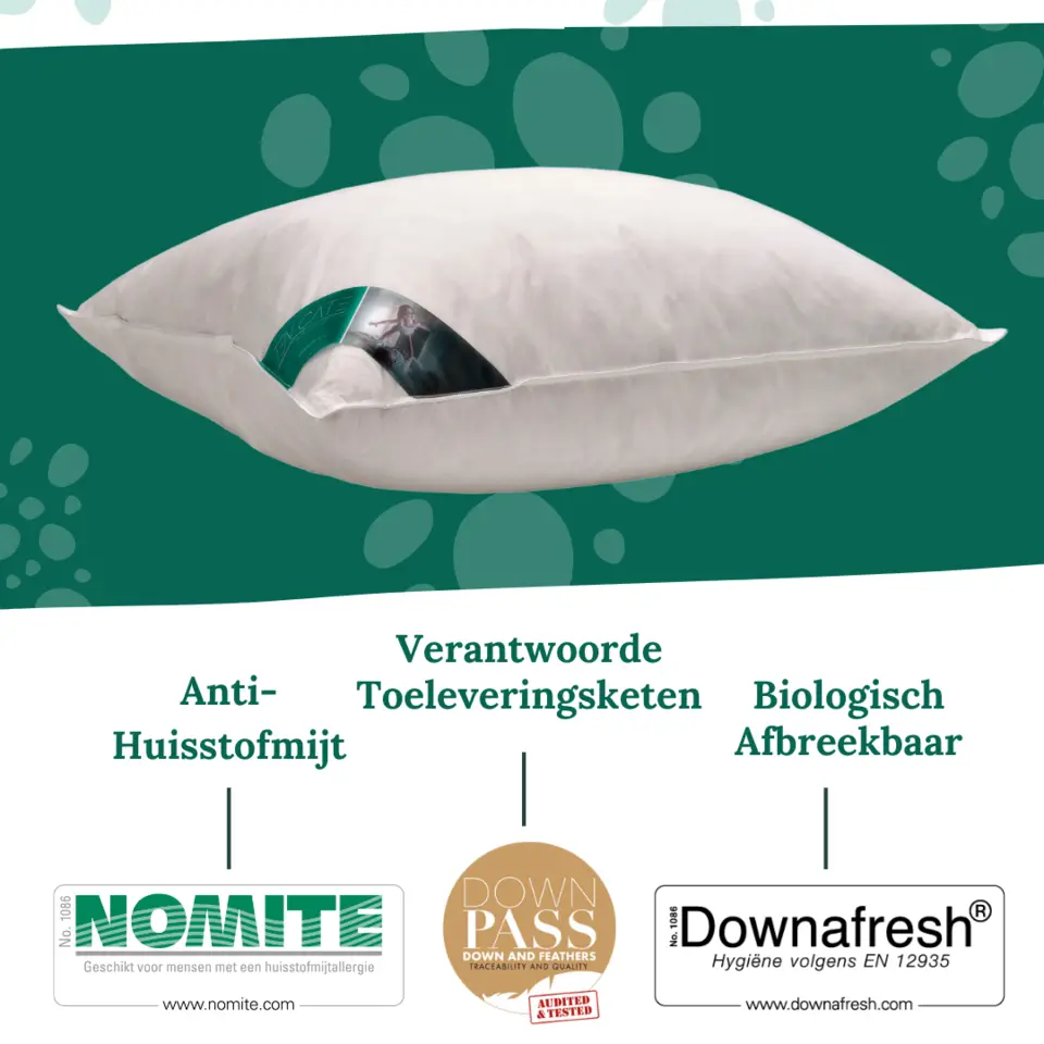 Ten Cate 100% Eendenveren Hoofdkussen - 60x70