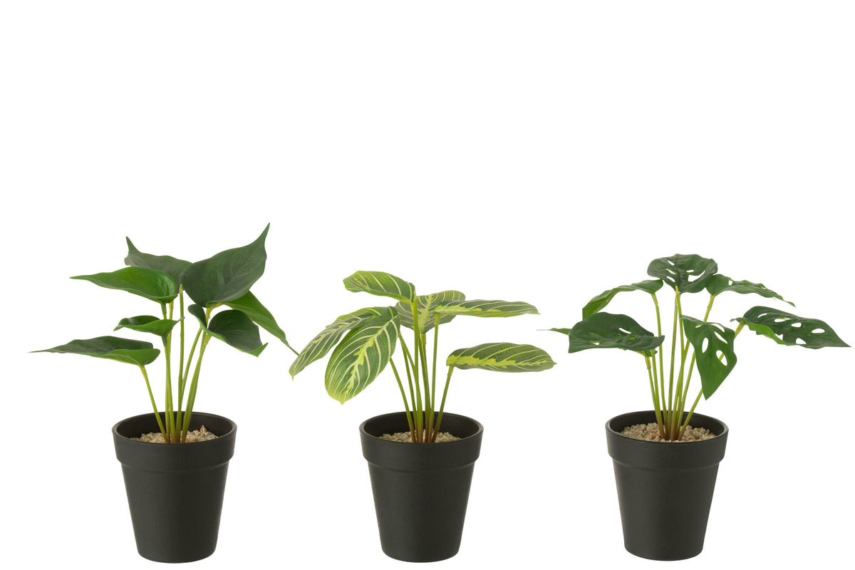 J-Line plant in pot - kunststof - groen - 3 stuks