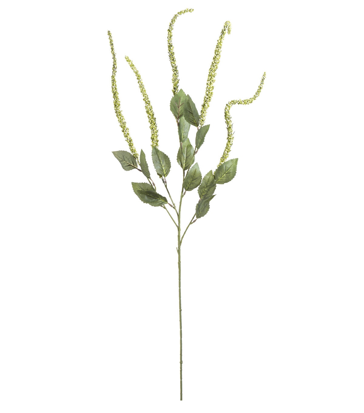 30 Green Amaranthus Stem by Bloom Room